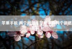 苹果手机 两个微信（苹果手机两个微信图标）