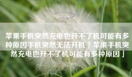 苹果手机突然充电也开不了机可能有多种原因手机突然无法开机「苹果手机突然充电也开不了机可能有多种原因」