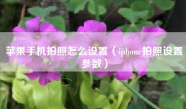 苹果手机拍照怎么设置（iphone拍照设置参数）