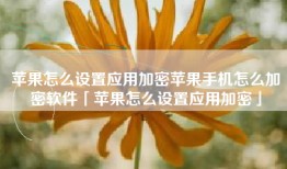 苹果怎么设置应用加密苹果手机怎么加密软件「苹果怎么设置应用加密」