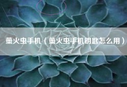 萤火虫手机（萤火虫手机钥匙怎么用）