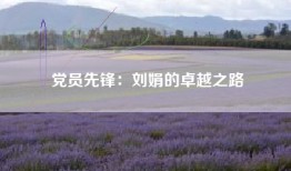 党员先锋：刘娟的卓越之路