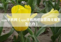 oppo手机网（oppo手机网络运营商无服务怎么办）