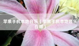 苹果手机本地音乐（苹果手机本地音乐在哪）