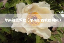 苹果设置教程（苹果设置教程视频）