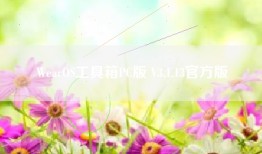 WearOS工具箱PC版 V3.1.13官方版