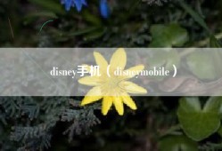 disney手机（disneymobile）