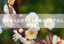 手机输入法没了（手机输入法没了怎么找回来）