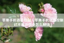 苹果手机语音控制（苹果手机语音控制已不再听指令怎么解决）