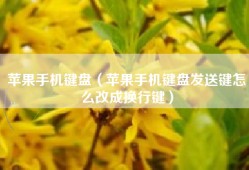 苹果手机键盘（苹果手机键盘发送键怎么改成换行键）