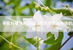 手机耗电快的原因（冬天手机耗电快的原因）