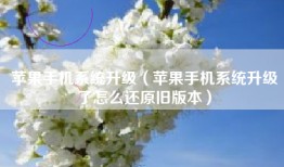 苹果手机系统升级（苹果手机系统升级了怎么还原旧版本）