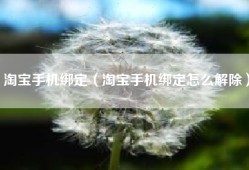 淘宝手机绑定（淘宝手机绑定怎么解除）