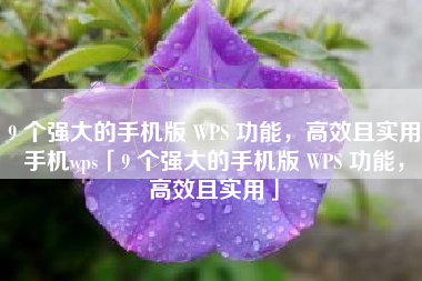 9 个强大的手机版 WPS 功能，高效且实用手机wps「9 个强大的手机版 WPS 功能，高效且实用」