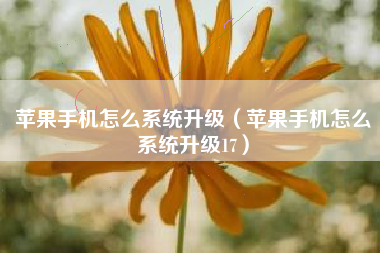 苹果手机怎么系统升级（苹果手机怎么系统升级17）