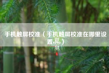 手机触屏校准（手机触屏校准在哪里设置vivo）