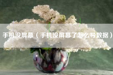 手机没屏幕（手机没屏幕了怎么导数据）