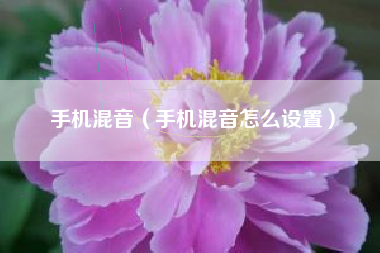 手机混音（手机混音怎么设置）