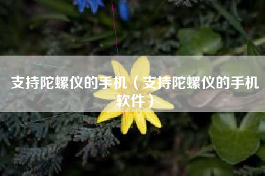 支持陀螺仪的手机（支持陀螺仪的手机软件）