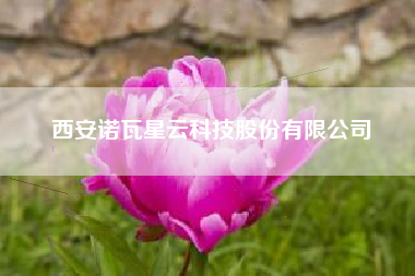 西安诺瓦星云科技股份有限公司
