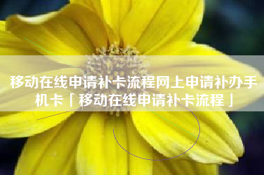 移动在线申请补卡流程网上申请补办手机卡「移动在线申请补卡流程」