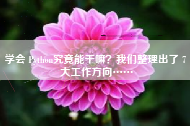 学会 Python究竟能干嘛？我们整理出了 7 大工作方向……